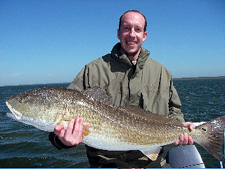 greg's redfish