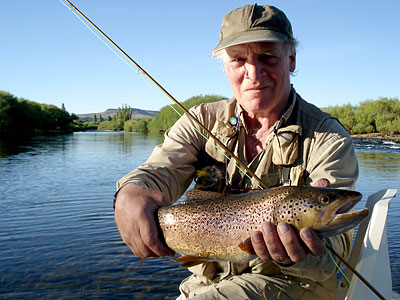 nice brown trout