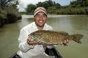 pure smallmouth or hybrid?