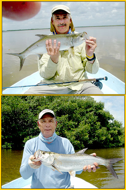 tarpon lagoon photos