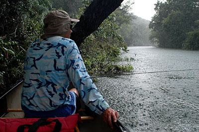 Pouring Rain on Barton Creek