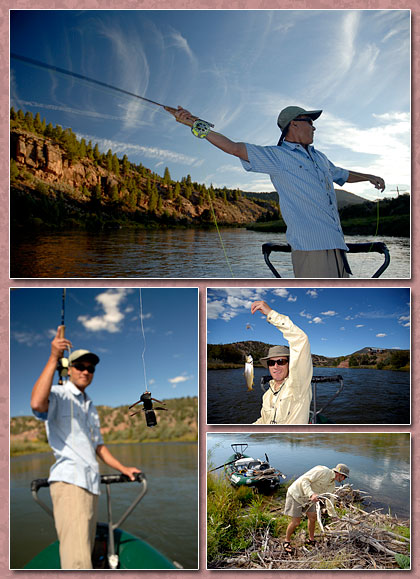 lower colorado (colorado) river fishing