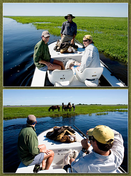 helping a gaucho cross the rio corrientes
