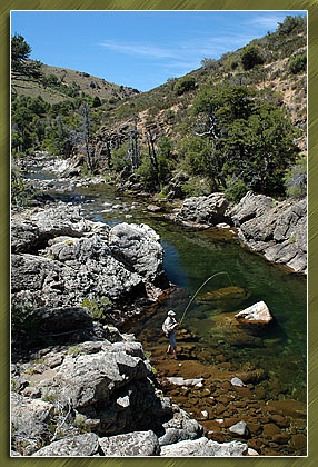 secret creek