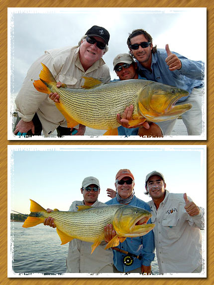 bert horn and cole eslyn with nice dorados from la zona (rio uruguay below salto grande), argentina