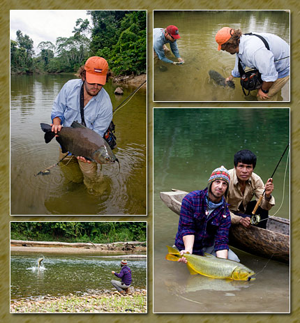 pacu-y-mas pacu-y-mas